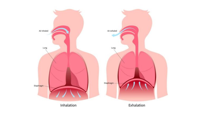 Diaphragmatic Breathing: Techniques to Enhance Your Health