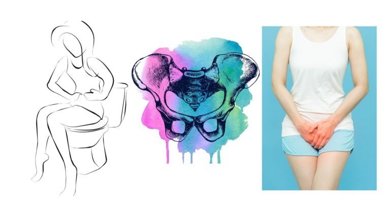 What is Pelvic Floor Therapy?