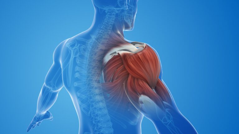 Return to Play Guidelines – Muscle Strains