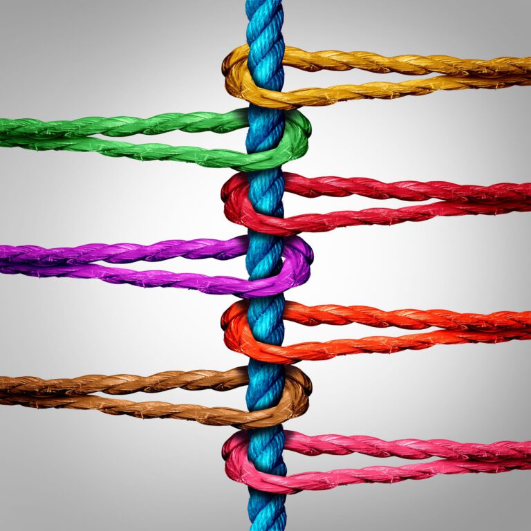 Our Core: Tensegrity and Spinal Stabilization